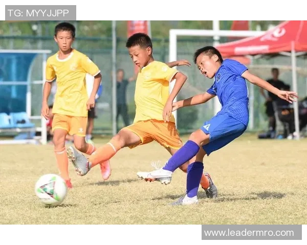 足球小球星计划：培养未来足坛之星的全方位成长路径与发展策略